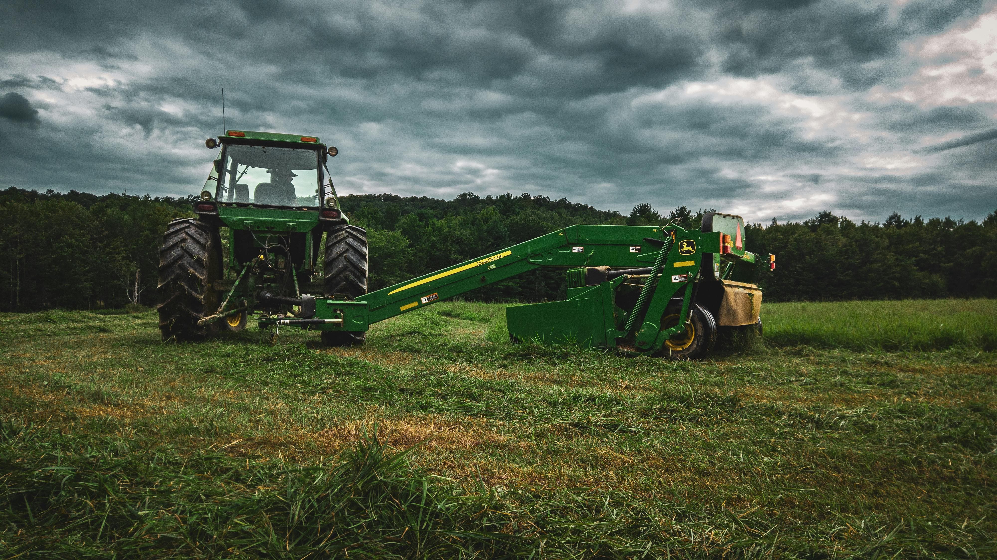 Vegetation Management Services